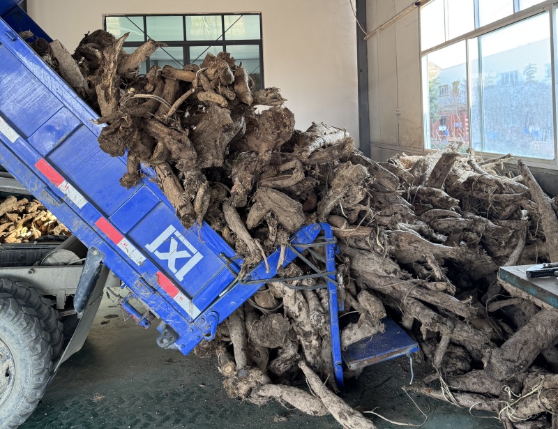 1765095944714583.jpg 微信圖片_20251207160412_102_355.jpg