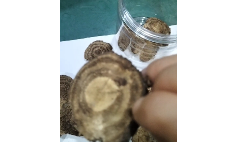 4 個細(xì)節(jié)識破假葛根：野生葛根片的形態(tài)密碼與鑒別指南