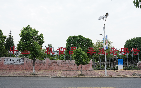 當(dāng)定制葛粉時(shí)，我們真正在選擇什么？