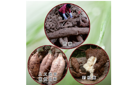 買葛粉是買野生的好？還是野生有機的好？