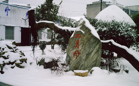 二月風(fēng)致老友：一碗葛根粉的牽掛，農(nóng)博會(huì)上的重逢之約二月風(fēng)盼老友：農(nóng)博會(huì)上，再續(xù)葛粉情緣